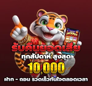 VIVA356 bet